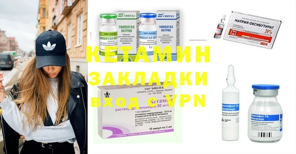 стаф Алзамай
