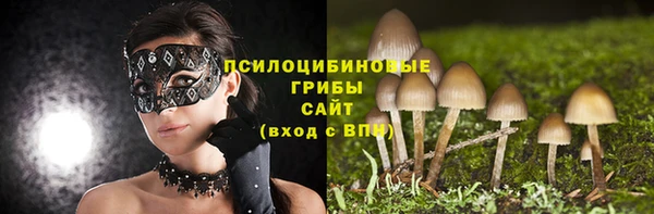 a pvp Алексеевка