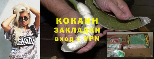 стаф Алзамай