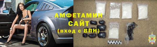 стаф Алзамай