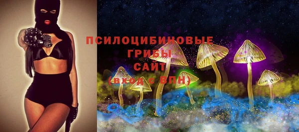 a pvp Алексеевка