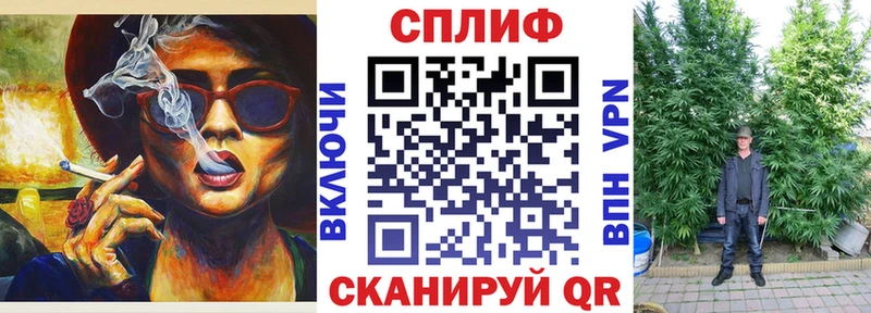 Канабис план Далматово